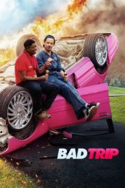 Kötü Seyahat izle – Bad Trip (2020) Türkçe dublaj & altyazılı full hd izle